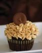 Peanut Butter Cup